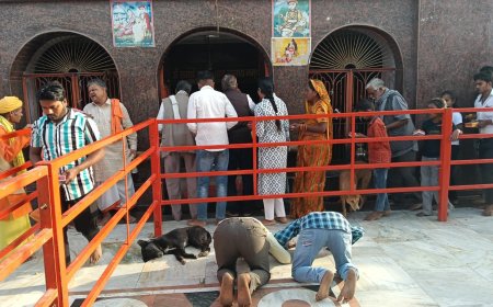 बडे बाबा के साप्ताहिक मंगलवार मेला में उमडा आस्था का जन सैलाव हजारों श्रद्धालुओं ने पवित्र अभरन सरोवर में आचमन कर स्वामी जी की समाधि पर चादर परसाद चढा कर मनवांछित फलों की प्राप्ति की कामना किया