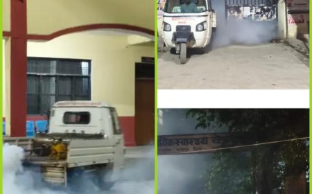 नगर पंचायत में गंदगी से बढ़ा मच्छरों का प्रकोप, फॉगिंग पर उठे सवाल