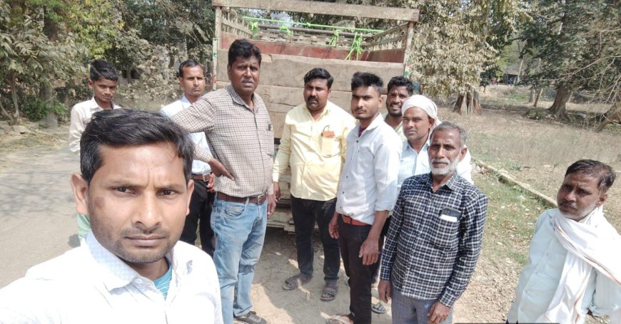 बदोसरांय में घूम रहे छुटटा पशुओं को पकडने का अभियान चला