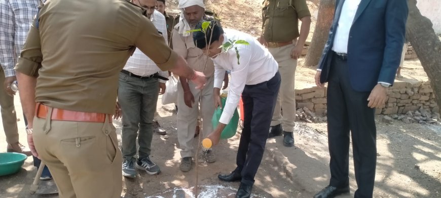 मुख्य विकास अधिकारी ने दिया पर्यावरण संरक्षण का संदेश