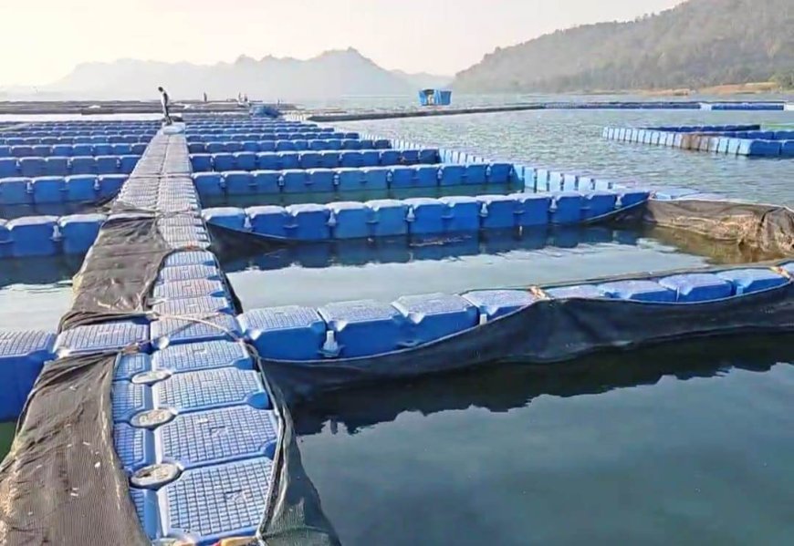 सामाजिक कार्यकर्ता अर्जुन सिंह ने जिलाधिकारी को शिकायती पत्र देकर प्रधानमंत्री मत्स्य सम्पदा योजना की उच्च स्तरीय जांच की मांग