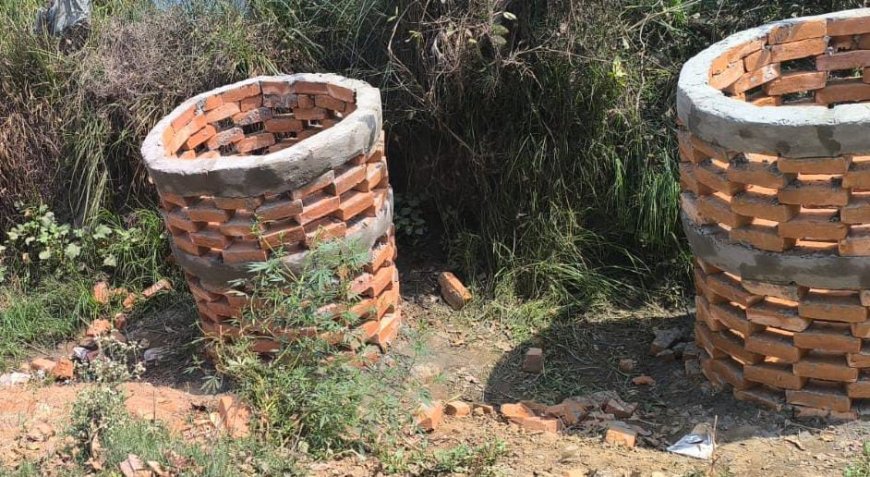 लोधेश्वर महादेव मार्ग को हरा-भरा बनाने की तैयारी, वन विभाग लगाएगा 500 पौधे