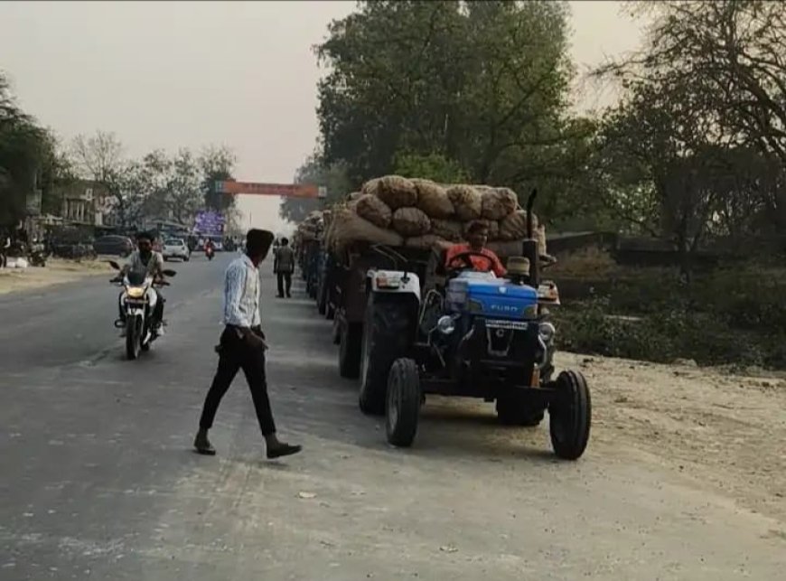 कोल्ड स्टोरों के बाहर आलू लदी ट्रैक्टर-ट्रॉलियों की लंबी कतार, किसानों को हो रही परेशानी