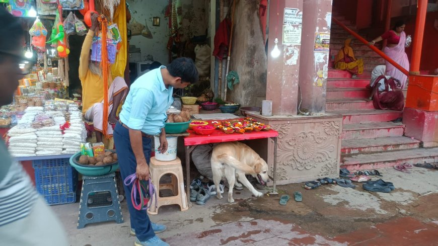 बीडीएस टीम प्रयागराज, एसचेक टीम,डॉग स्क्वॉयड,एलआईयू की संयुक्त टीम द्वारा चैत्र मास अमावस्या मेला की दृष्टिगत रामघाट सीतापुर में सघन चेकिंग की गयी