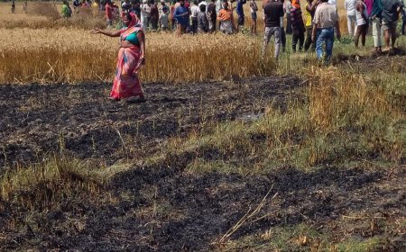 हाईटेंशन तार टूटने से खेतों में लगी भीषण आग, 11 किसानों की फसल जलकर राख