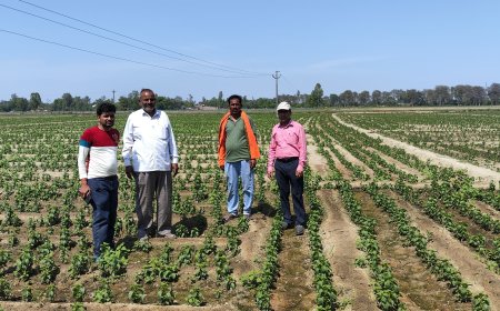 सीएसआईआर-सीमैप ने किसानों को दी सतत खेती की जानकारी, वर्मी कम्पोस्ट व मशरूम उत्पादन पर जोर