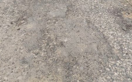 पचपेड़वा में पीडब्ल्यूडी सड़क निर्माण में अनियमितता, गुणवत्ता पर उठे सवाल