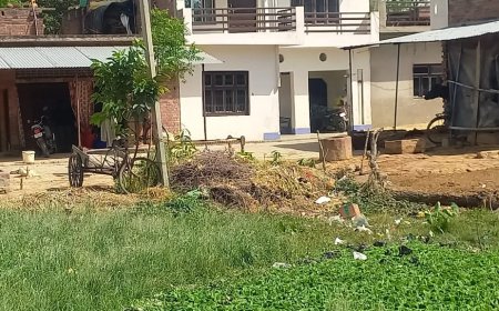 तालाब पर अवैध कब्जे की शिकायत, ग्राम प्रधान ने एसडीएम से की कार्रवाई की मांग