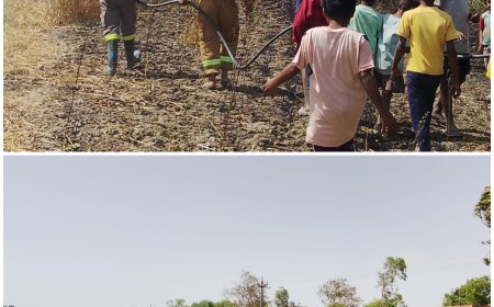 टिकैतनगर में भीषण आग, 27 बीघा गेहूं की फसल जलकर राख