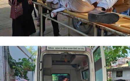 तेज रफ्तार ट्रैक्टर-ट्रॉली की टक्कर से ऑटो क्षतिग्रस्त, मोहम्मद शरीफ गंभीर घायल