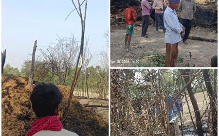 बाराबंकी में भीषण अग्निकांड: घर जला, दो भैंसों की दर्दनाक मौत