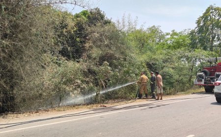 सिगरेट के टुकड़े से बांसवाड़ी में लगी आग, समय रहते पाया गया काबू