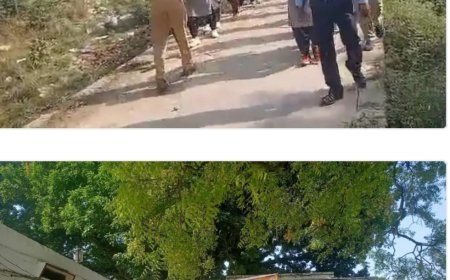 स्कूल चलो अभियान के तहत जागरूकता रैली आयोजित