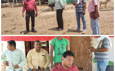 बी डी ओ संजीव गुप्ता ने ठाकुर गौशाला का निरीक्षण किया