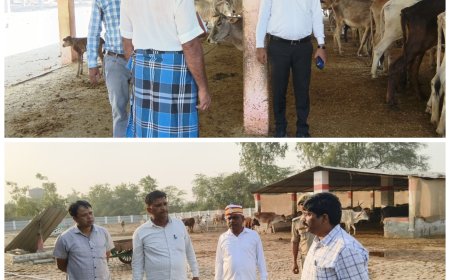 उपजिलाधिकारी अनिल कुमार सरोज व खंण्ड विकास अधिकारी संजीव गुप्ता ने अलग अलग गौशाला का निरीक्षण कर गौशाला संचालक, सेवादारों को आवाश्यक दिशा निर्देश दिए