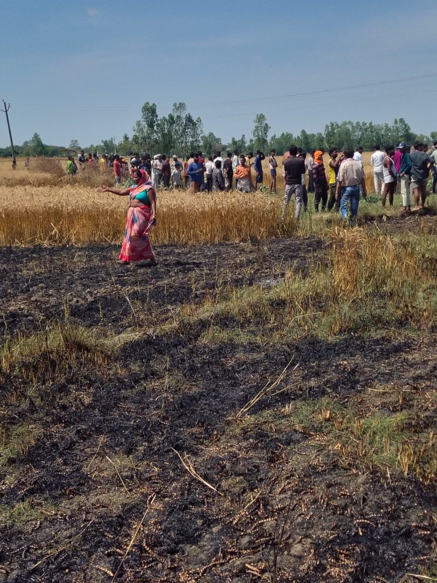 हाईटेंशन तार टूटने से खेतों में लगी भीषण आग, 11 किसानों की फसल जलकर राख