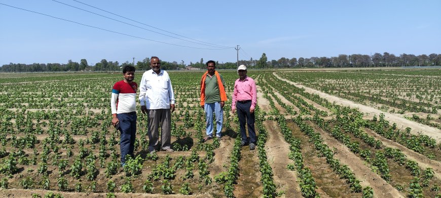 सीएसआईआर-सीमैप ने किसानों को दी सतत खेती की जानकारी, वर्मी कम्पोस्ट व मशरूम उत्पादन पर जोर