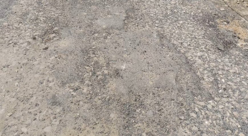 पचपेड़वा में पीडब्ल्यूडी सड़क निर्माण में अनियमितता, गुणवत्ता पर उठे सवाल