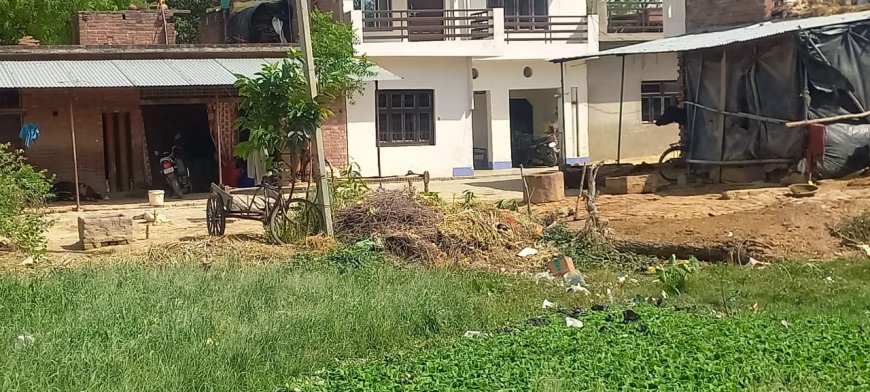 तालाब पर अवैध कब्जे की शिकायत, ग्राम प्रधान ने एसडीएम से की कार्रवाई की मांग