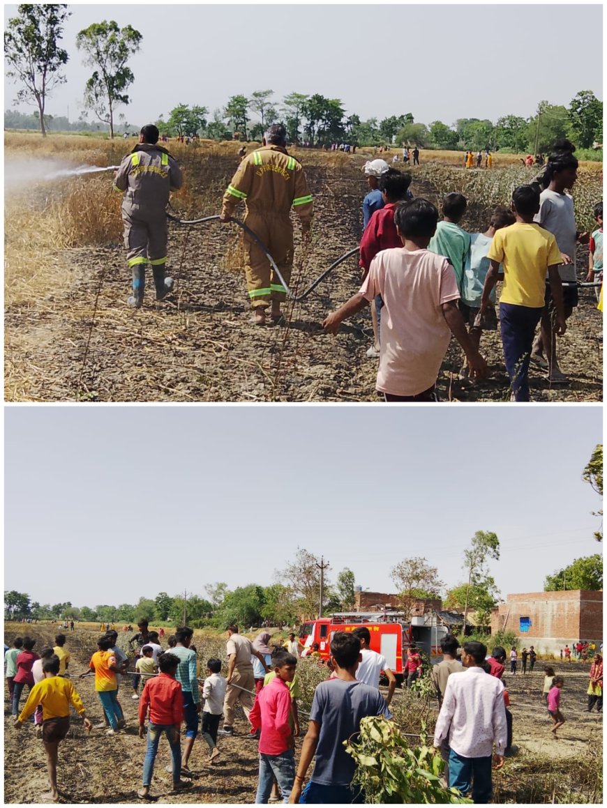 टिकैतनगर में भीषण आग, 27 बीघा गेहूं की फसल जलकर राख