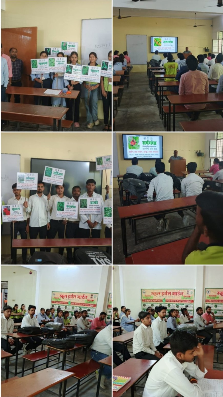 आयुष कार्यशाला में प्राचीन चिकित्सा पद्धति पर जोर