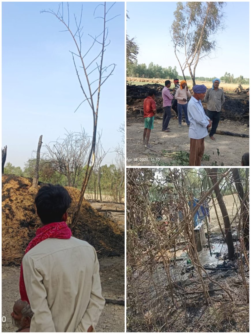 बाराबंकी में भीषण अग्निकांड: घर जला, दो भैंसों की दर्दनाक मौत