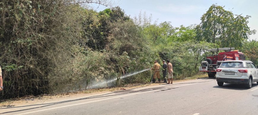 सिगरेट के टुकड़े से बांसवाड़ी में लगी आग, समय रहते पाया गया काबू