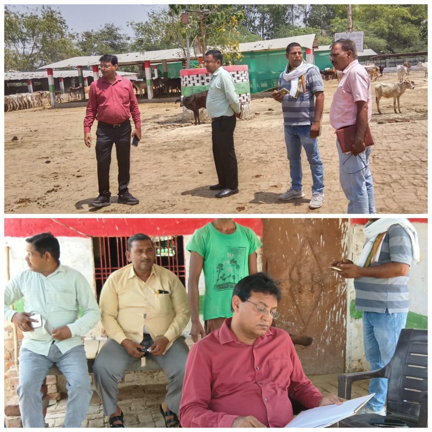 बी डी ओ संजीव गुप्ता ने ठाकुर गौशाला का निरीक्षण किया