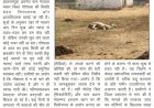 गौशाला में तड़प-तड़प कर दम तोड़ रही गौ माता, जिम्मेदारों की चुप्पी पर उठे सवाल