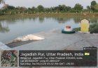 सिरौलीगौसपुर के 39 अमृत सरोवर तालाबों में ग्राम प्रधानों के माध्यम से जानवरों पशु पक्षियों हेतु पानी भरवाया गया