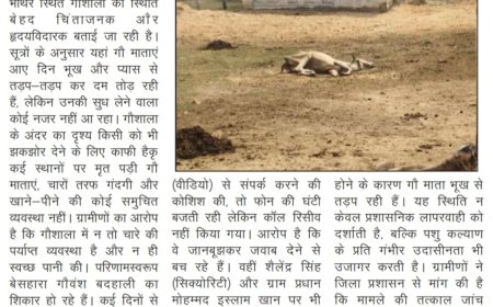गौशाला में तड़प-तड़प कर दम तोड़ रही गौ माता, जिम्मेदारों की चुप्पी पर उठे सवाल