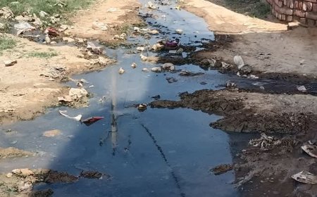 सात 7 साल से न सड़क व नालियों का निर्माण ,गणेश नगर कॉलोनी में बरसात से हो रहा जलभराव ,नाला एवं सड़क बनाये जाने की उठी मांग