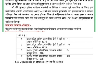 रायबरेली में अवैध कटान माफियाओं पर दोहरी तस्वीर: डलमऊ में गिरफ्तारी, महाराजगंज में FIR के बाद भी कार्रवाई ठप