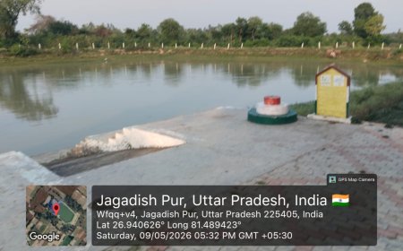 सिरौलीगौसपुर के 39 अमृत सरोवर तालाबों में ग्राम प्रधानों के माध्यम से जानवरों पशु पक्षियों हेतु पानी भरवाया गया
