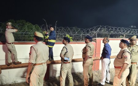 देवांगना पहाड़ में लगी ग्राउंड फायर पर समय रहते पाया गया पूर्ण नियंत्रण