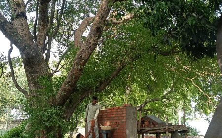 भीषण गर्मी में ग्रामीणों ने वृक्षों का सहारा लिया उसी के नीचे बैठकर दोपहरी में गर्मी से निजात पाई