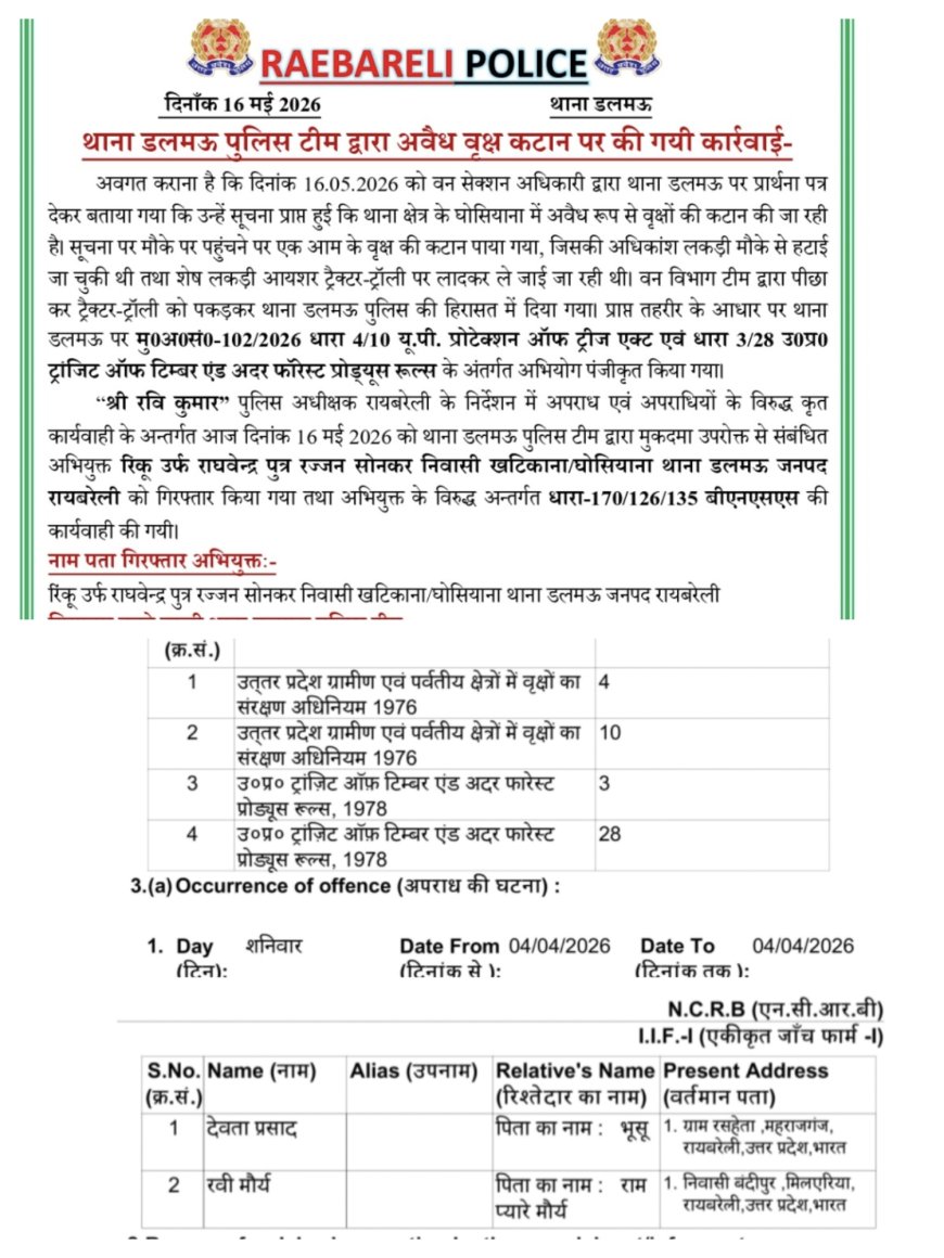 रायबरेली में अवैध कटान माफियाओं पर दोहरी तस्वीर: डलमऊ में गिरफ्तारी, महाराजगंज में FIR के बाद भी कार्रवाई ठप