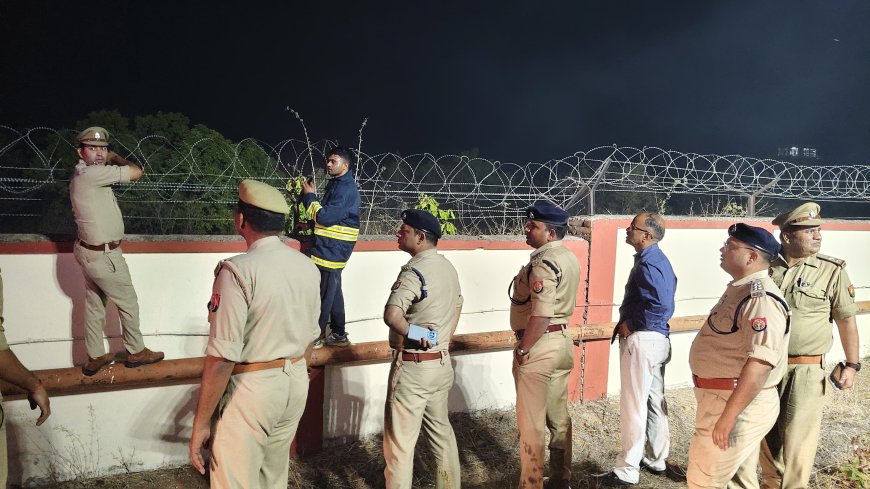 देवांगना पहाड़ में लगी ग्राउंड फायर पर समय रहते पाया गया पूर्ण नियंत्रण