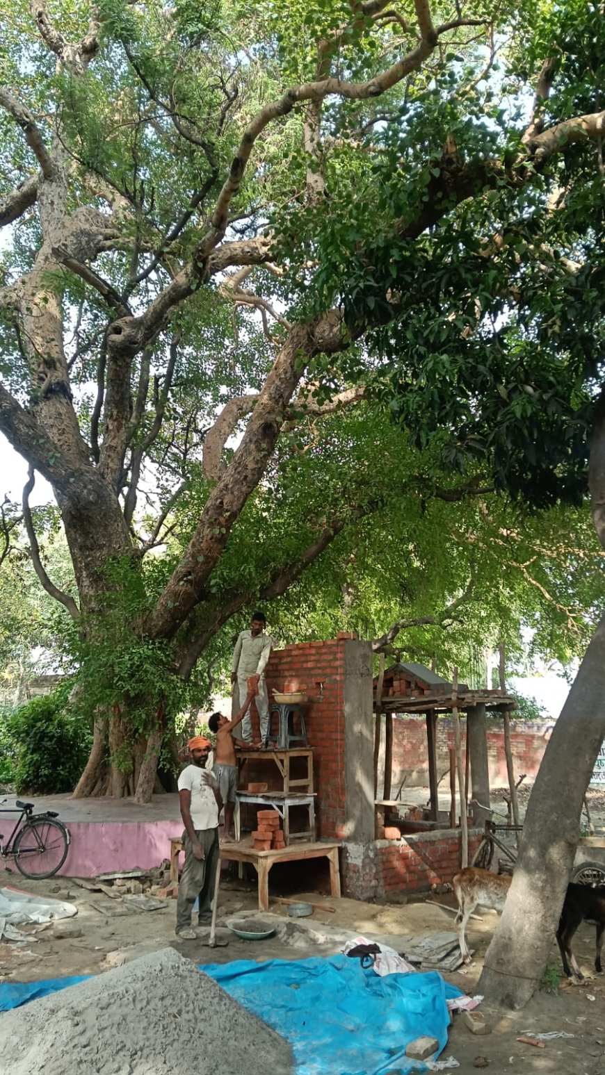 भीषण गर्मी में ग्रामीणों ने वृक्षों का सहारा लिया उसी के नीचे बैठकर दोपहरी में गर्मी से निजात पाई