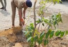 पुलिस अधीक्षक द्वारा विश्व पर्यावरण दिवस के अवसर पर किया गया वृक्षारोपण।