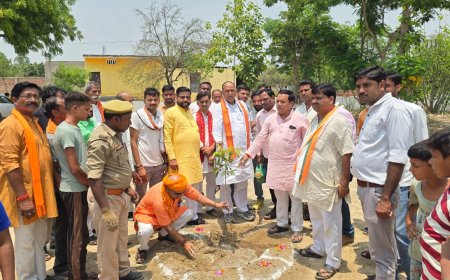 विश्व पर्यावरण दिवस–2026 पर “एक पेड़ माँ के नाम” अभियान के अंतर्गत 73 ग्राम पंचायतों में हुआ व्यापक वृक्षारोपण