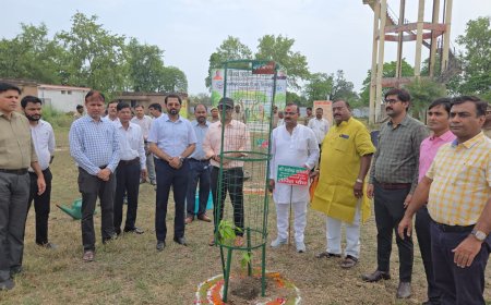 विश्व पर्यावरण दिवस: कलेक्ट्रेट परिसर में ‘एक पेड़ माँ के नाम 2.0’ अभियान का शुभारंभ; जिलाधिकारी ने सघन एवं फलदार वृक्षारोपण के दिए निर्देश