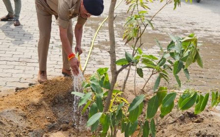 पुलिस अधीक्षक द्वारा विश्व पर्यावरण दिवस के अवसर पर किया गया वृक्षारोपण।