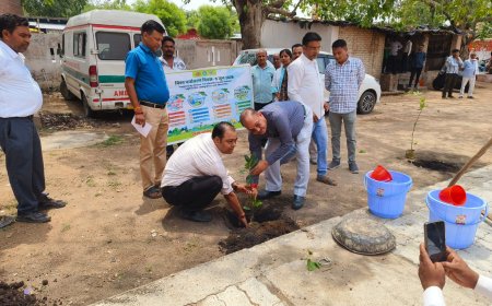 मुख्य चिकित्सा अधिकारी ने सामुदायिक स्वास्थ्य केंद्र पहाड़ी का किया औचक निरीक्षण एवं विश्व पर्यावरण दिवस पर वृक्षारोपण कर पौधा रोपित के लिए संदेश