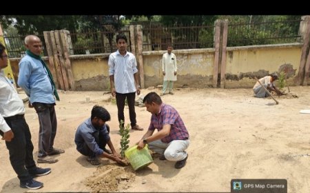 सहायक विकास अधिकारी पंचायत मनोज मिश्रा ने अपने सहयोगियों के साथमुश्काबाद,महमूदाबाद,किठूरी,केंवलापुर में वृक्ष रोपित किया