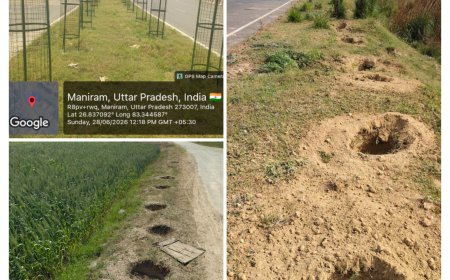 गोरखपुर में वन महोत्सव 2026: एक सप्ताह में लगाए जाएंगे 55 लाख से अधिक पौधे, 27 विभाग होंगे शामिल