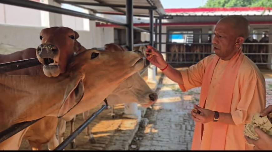 गोरखपुर जनता दर्शन में सीएम योगी ने सुनीं 200 लोगों की समस्याएं, अधिकारियों को दिए सख्त निर्देश