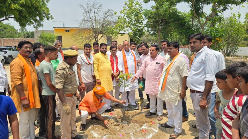 विश्व पर्यावरण दिवस–2026 पर “एक पेड़ माँ के नाम” अभियान के अंतर्गत 73 ग्राम पंचायतों में हुआ व्यापक वृक्षारोपण