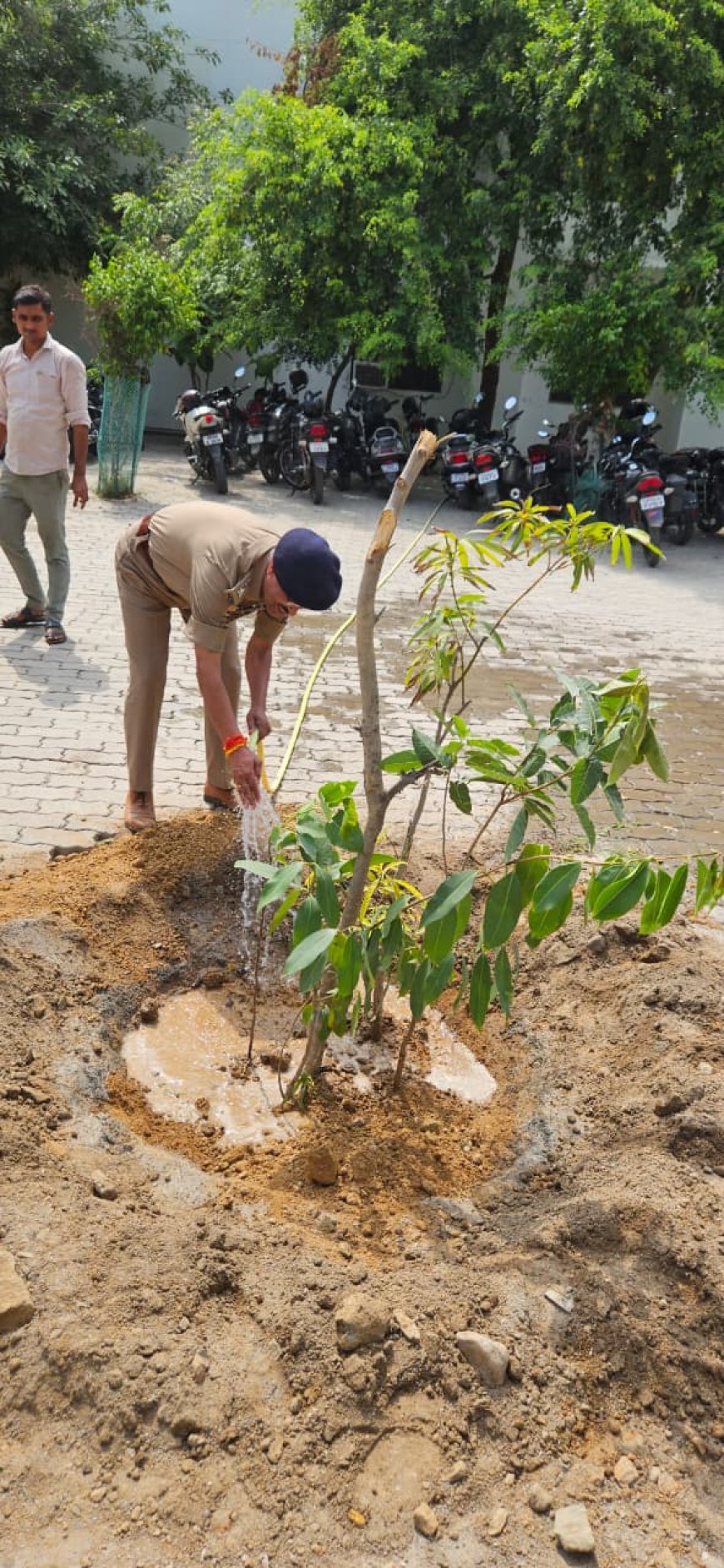 पुलिस अधीक्षक द्वारा विश्व पर्यावरण दिवस के अवसर पर किया गया वृक्षारोपण।