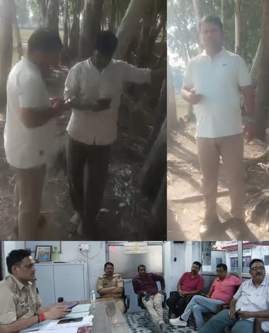 वन विभाग का अजब खेल, प्रतिबंधित पेड़ों की कटान पर चुप्पी, यूकीलिप्टस पर वसूली के आरोप